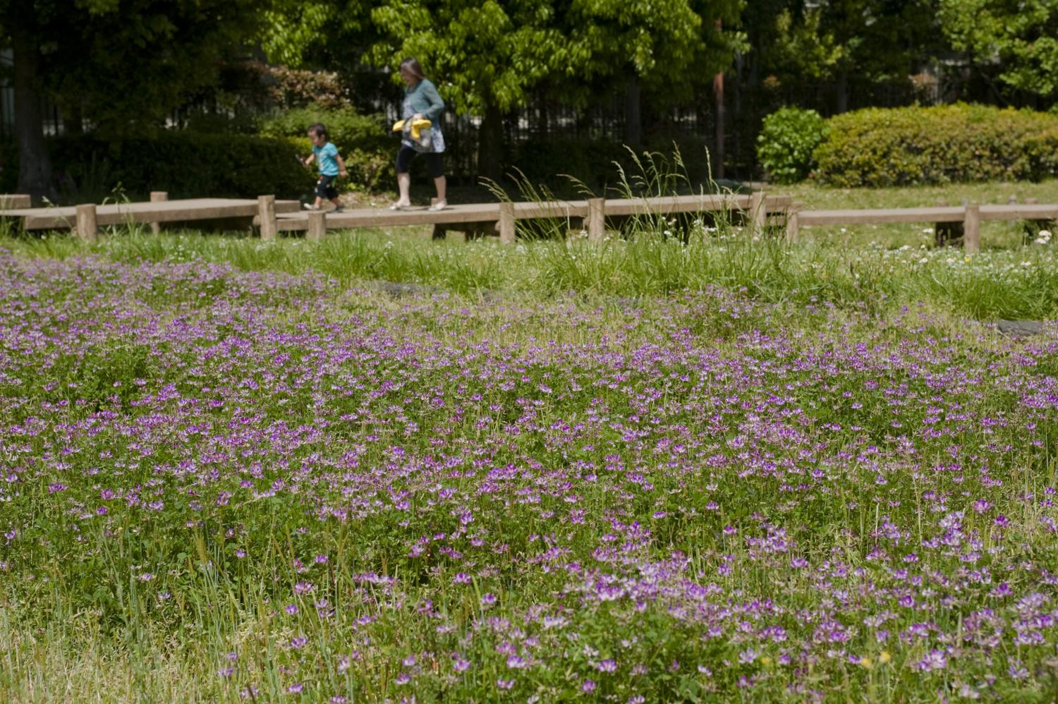 秋の陽公園