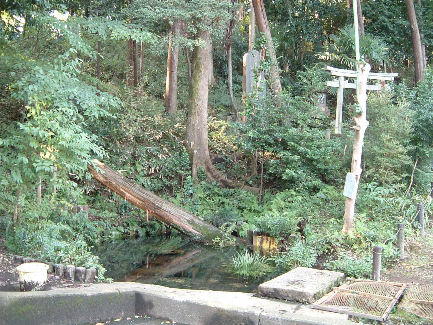 稲荷山憩いの森