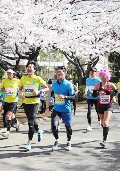 練馬こぶしハーフマラソン