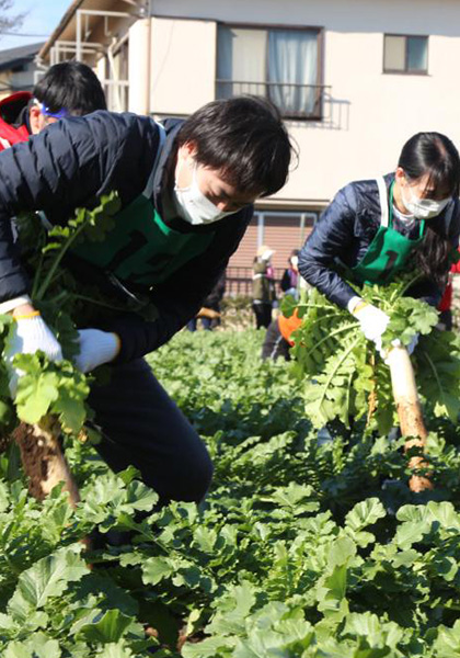 練馬大根引っこ抜き競技大会