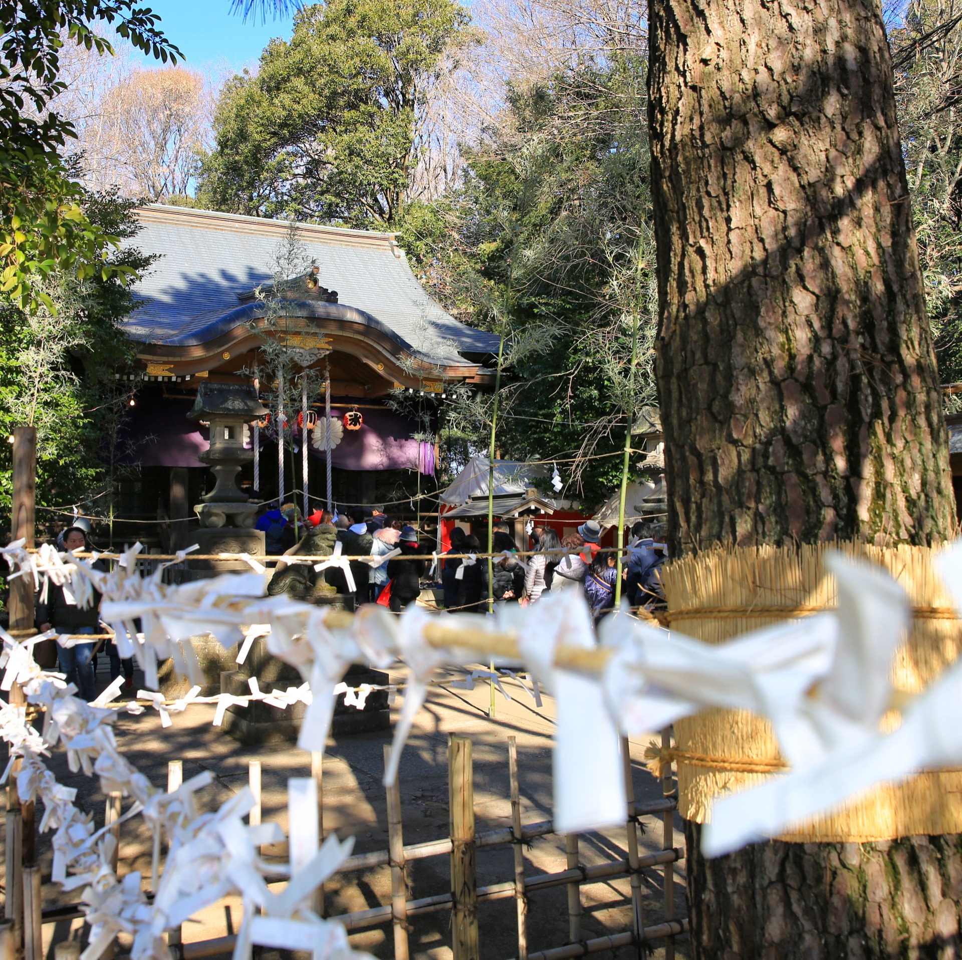 初詣　石神井氷川神社