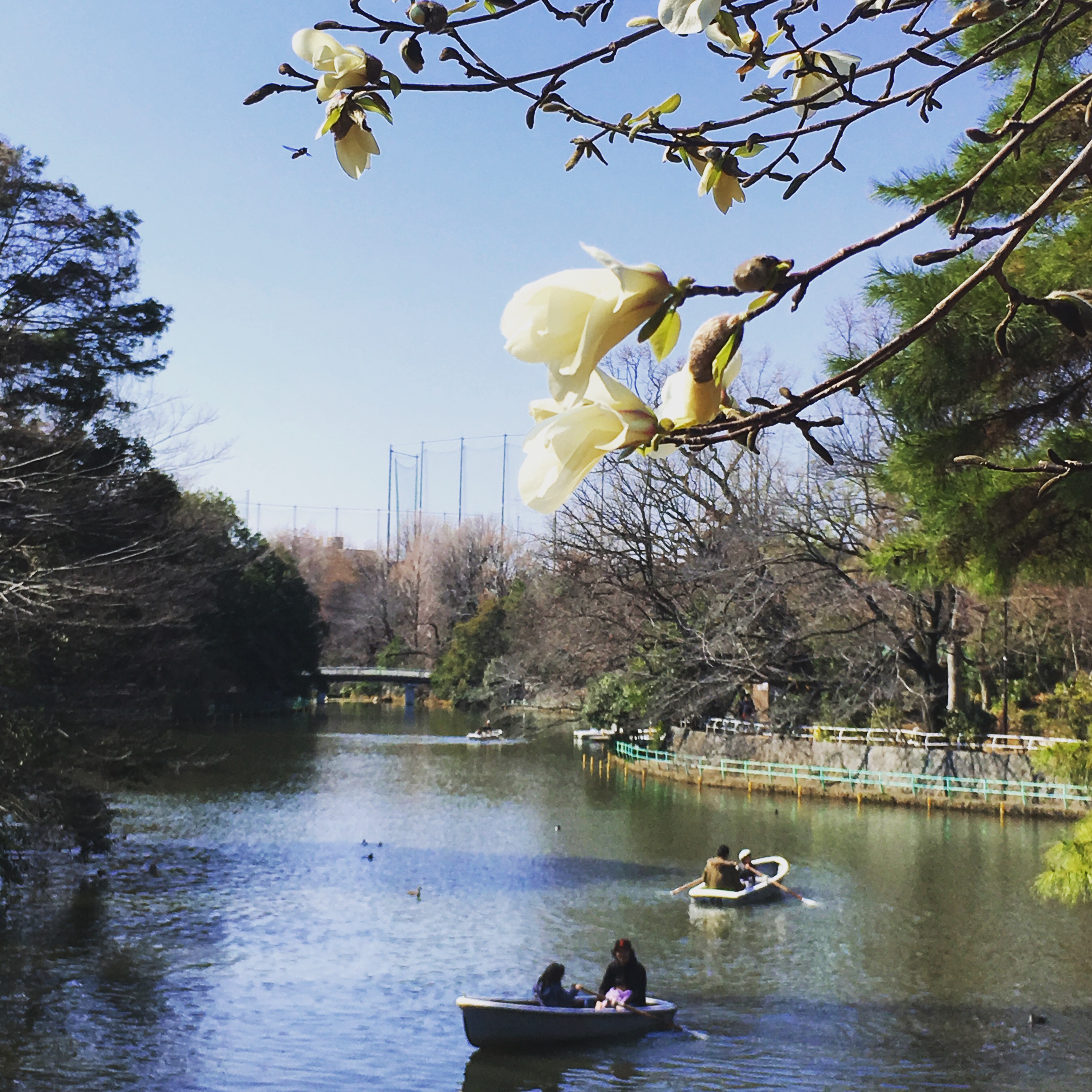 武蔵関公園