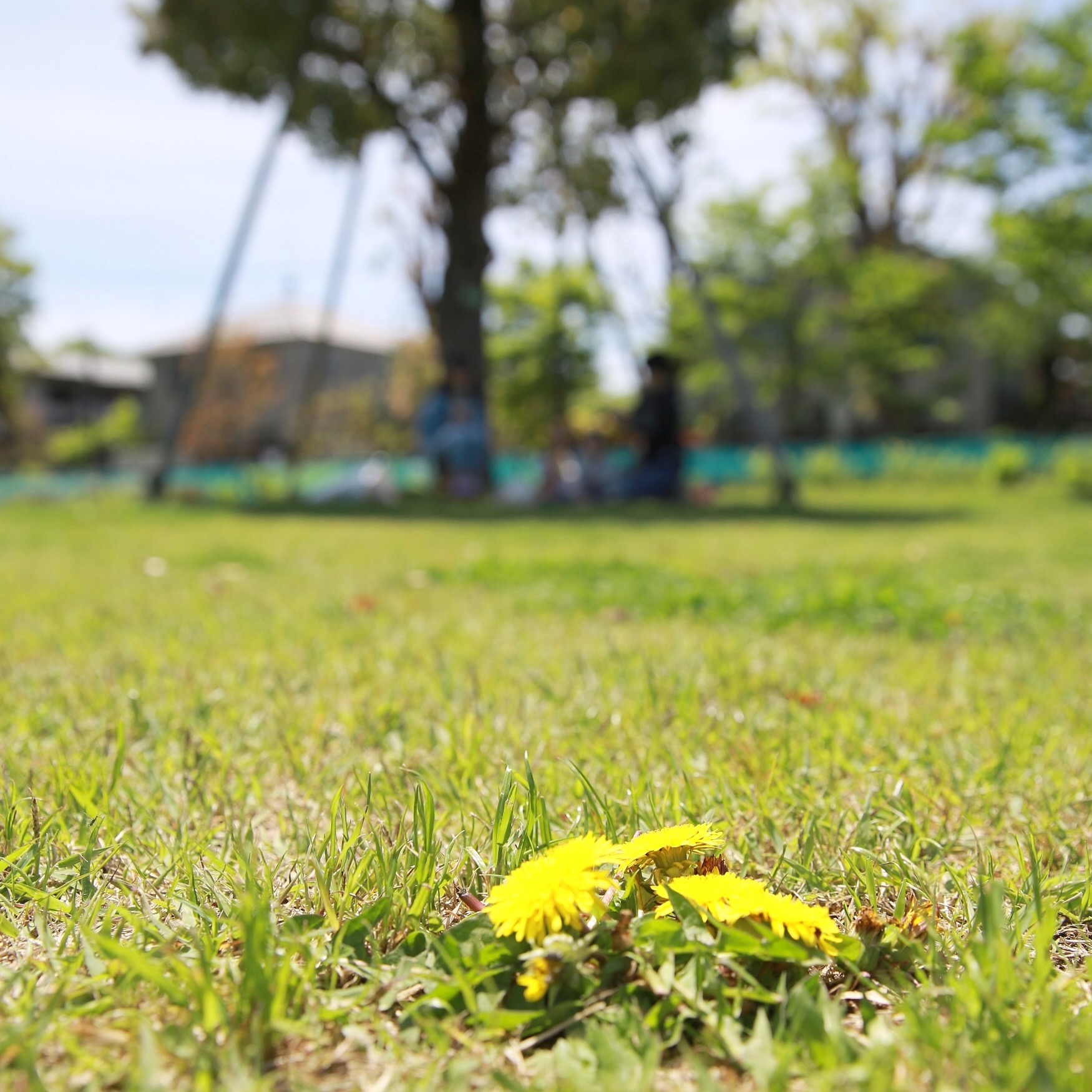 石神井松の風文化公園