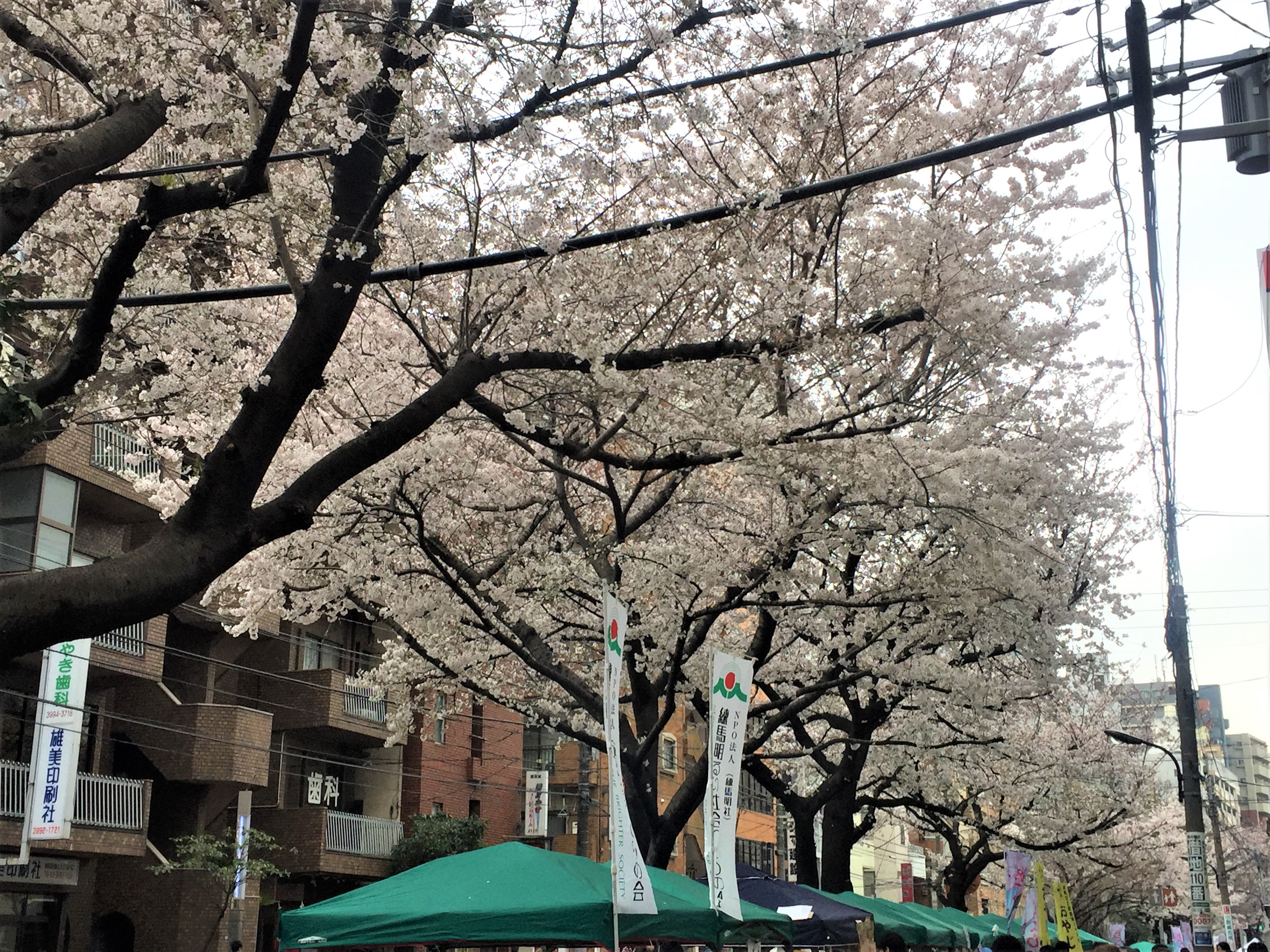 桜台「さくら祭り」 2