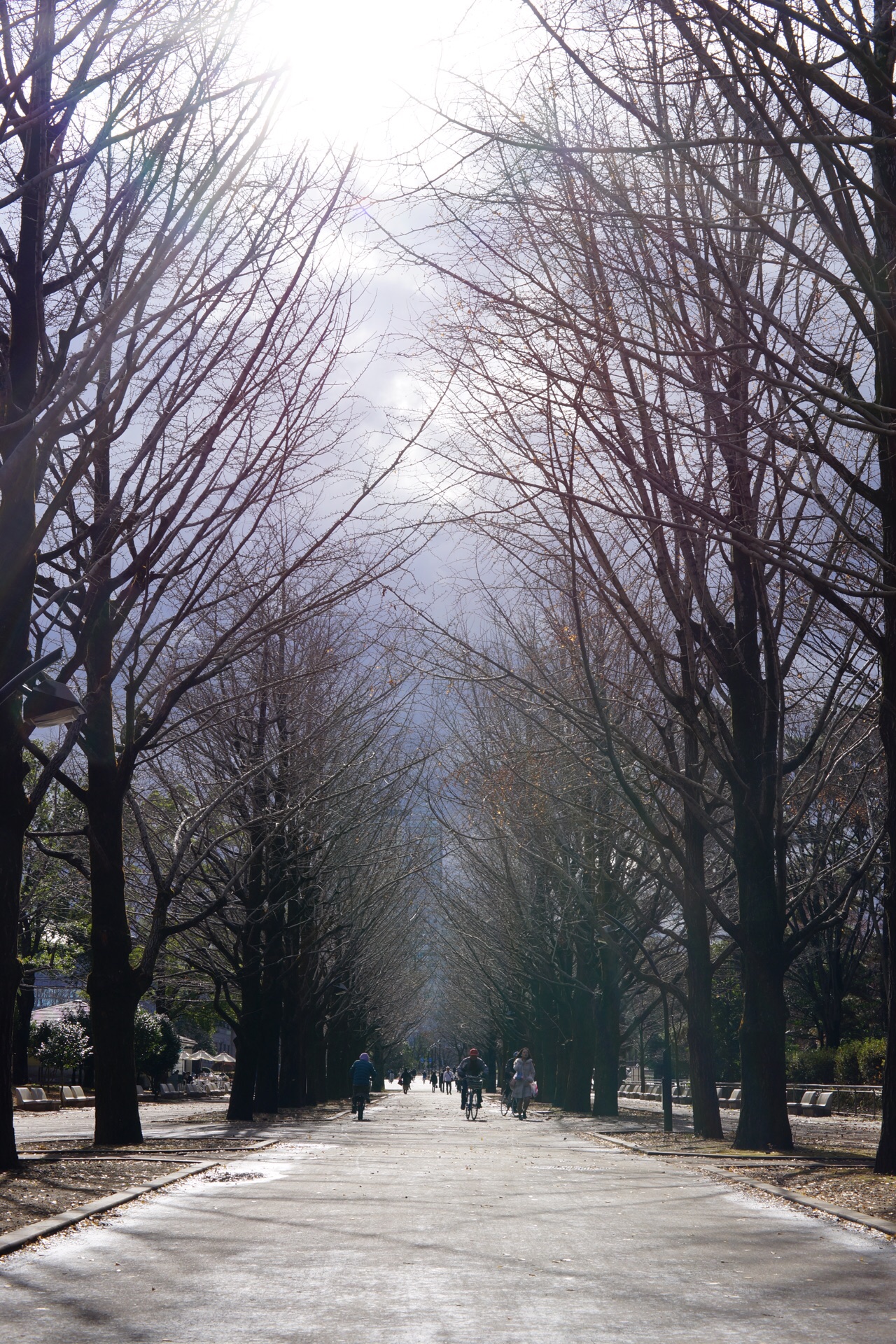 冬の光が丘公園