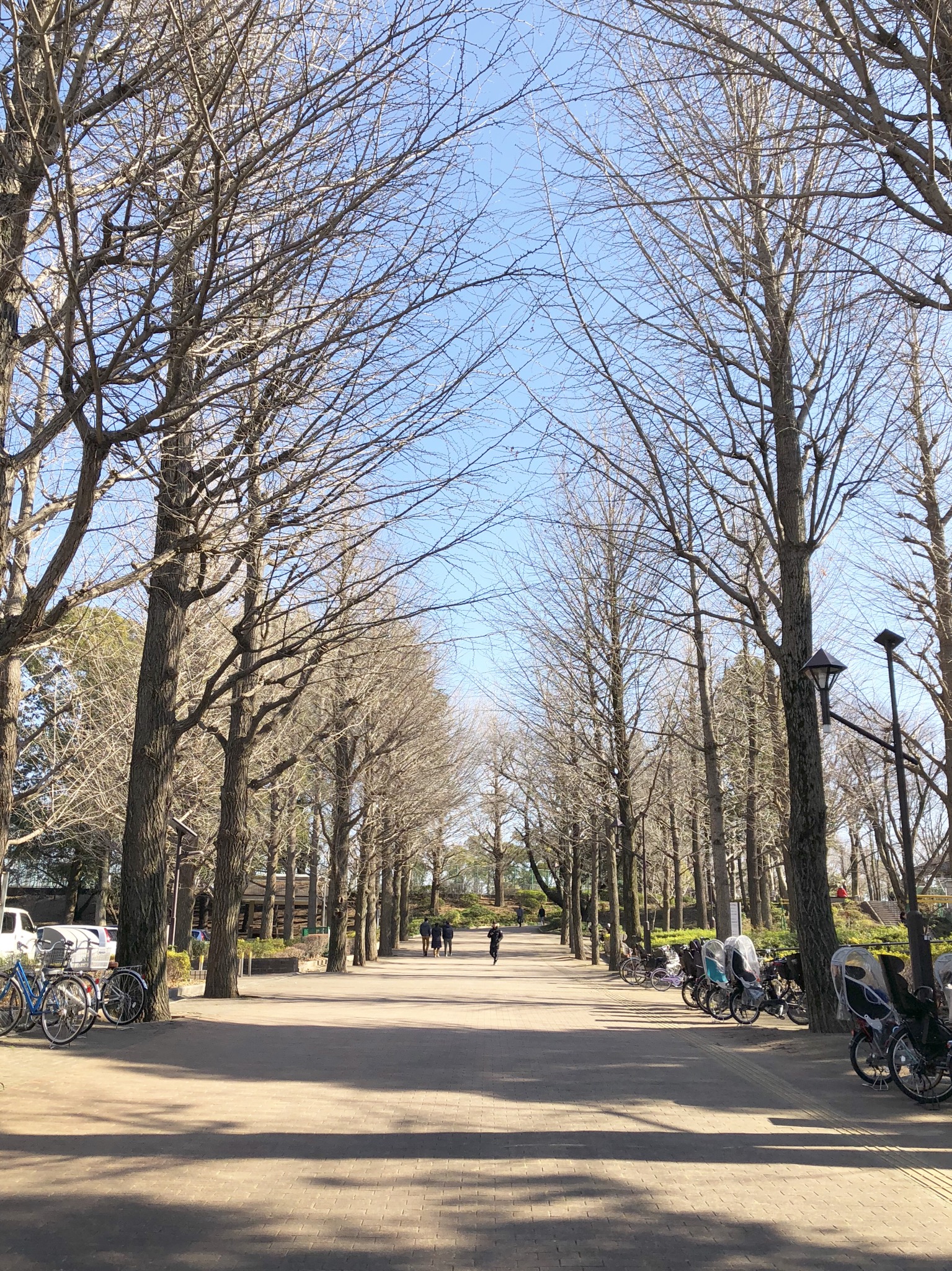 城北中央公園